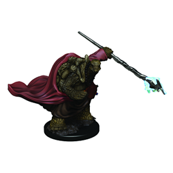 Icons of the Realm Premium Miniatures: Tortle Monk