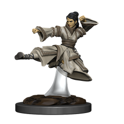 Icons of the Realms: Human Monk Female Premium Figure