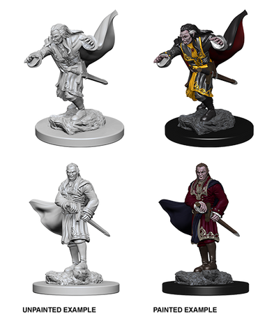 Nolzur's Marvelous Miniatures W1 Vampires