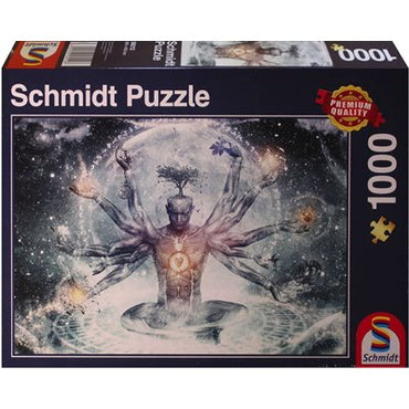 1000 pc Schmidt: Dream in the Universe