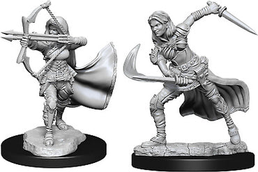 Nolzur's Marvelous Miniatures W15 Air Genasi Female